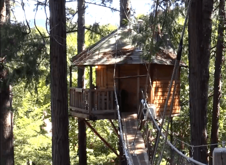 Treehouse with bridge